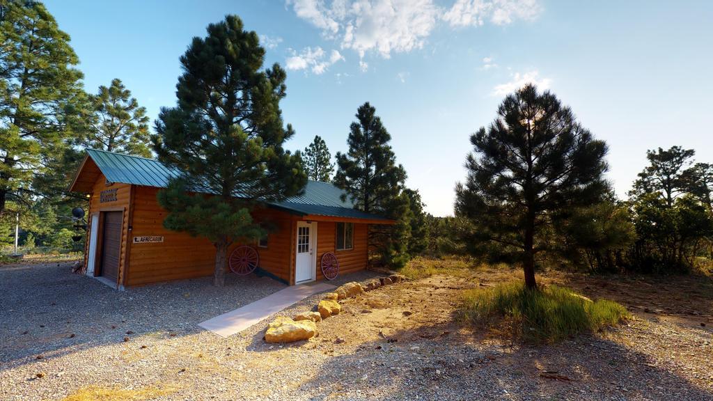 Long View Cabin, Breakfast Deck Overlooking The Canyon! Монтичело Екстериор снимка